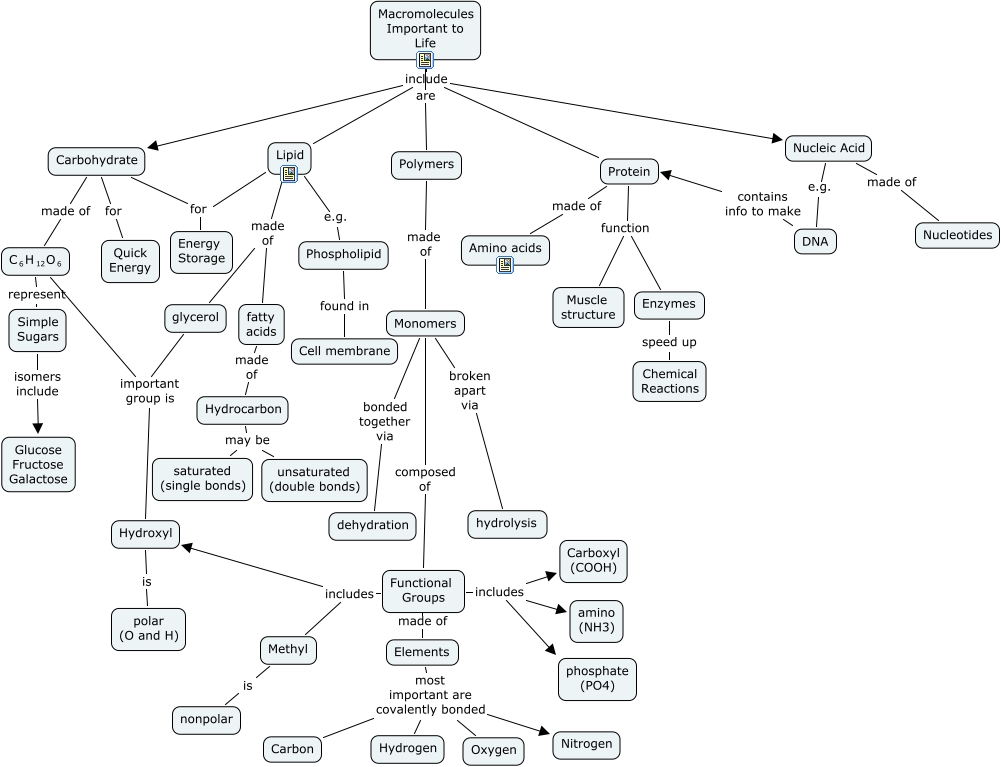 C5 Macromolecules What chemicals are important to life and what are